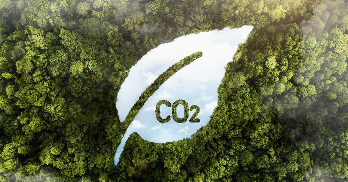 Programa para reducir la huella de carbono